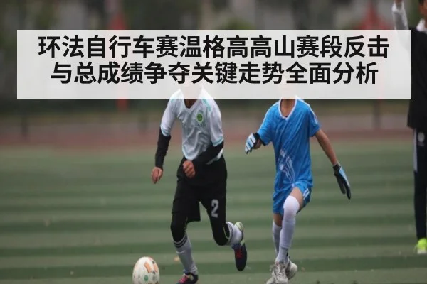 环法自行车赛温格高高山赛段反击与总成绩争夺关键走势全面分析